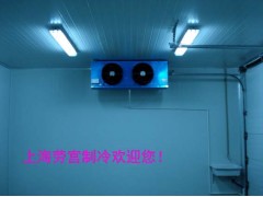 上海劳宫冷风机, 冷库冷风机