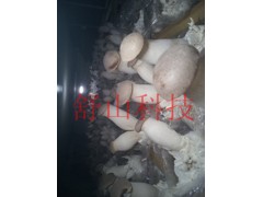 蘑菇房食用菌加湿器