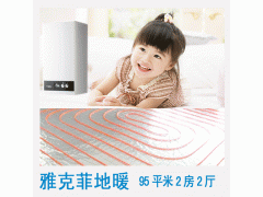 进口欧洲雅克菲壁挂炉