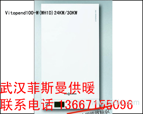 武汉菲斯曼燃气壁挂炉