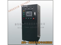 预处理车间消毒臭氧发生器