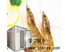 肉类保鲜冷库