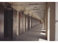 丹麦双开平移平开冷库门