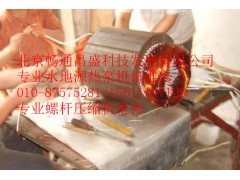 比泽尔制冷压缩机电机, 压缩机电机维修