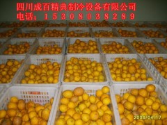 双温冻库