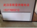 武汉德国菲斯曼明装暖气片