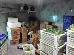 广东水果保鲜冷库