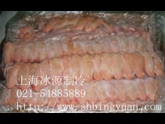 北京海淀肉类冷冻冷藏库设备