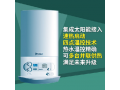 vaillant威能壁挂炉