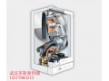 武汉菲斯曼供暖