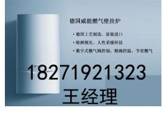 武汉威能99KW商用冷凝炉