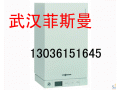 武汉菲斯曼冷凝锅炉WB1C