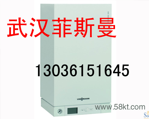 武汉菲斯曼WH1D24KW
