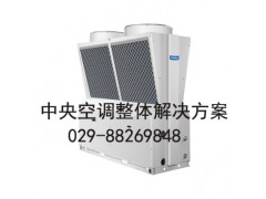 Y型外观风冷模块机组
