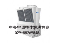 低温强热风冷模块机组