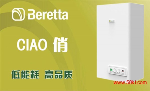 意大利贝雷塔俏20kw双功能燃气壁挂炉