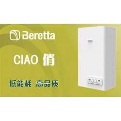 意大利贝雷塔俏20kw双功能燃气壁挂炉