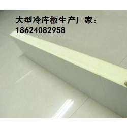 不锈钢轨道不锈钢框冷库板不锈钢电动冷库门, 不锈钢轨道不锈钢框冷库板不锈钢电动冷库门天诺门