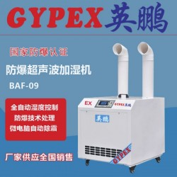 上海防爆加湿机