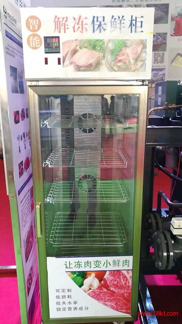 华誉HY-XJD猪牛羊鸡鸭肉小型冻肉解冻